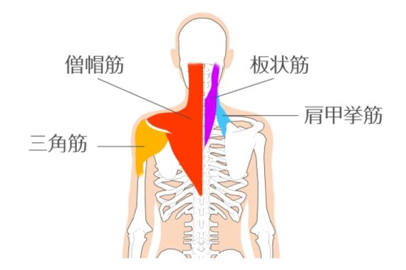 サンプル